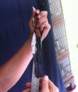 Murai batu Thailnd