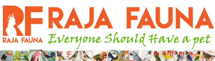 Raja Fauna